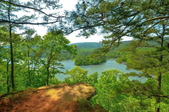 Scenic forested overlook with a view of a tranquil lake and distant hills, framed by lush green trees under a clear sky.