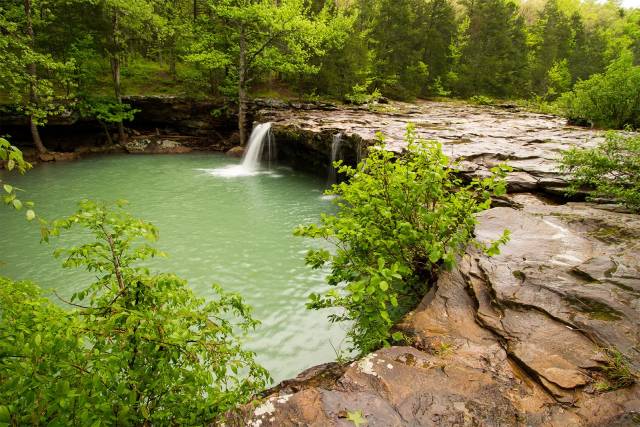 Serene waterfall flowing into a lush green forest pool surrounded by rocky formations and vibrant trees.