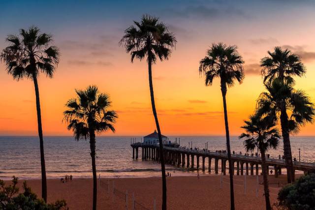 Sunset at a beach with palm trees and pier, vibrant orange sky reflecting on the ocean, Manhattan Beach scenery.