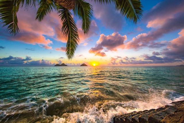 Tropical sunset over ocean with palm trees and vibrant clouds, waves crashing on rocky shore.