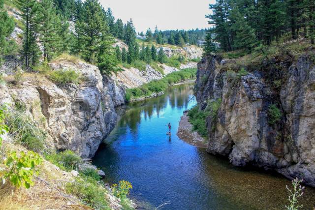 River flowing through a rocky canyon with pine trees and a person fishing in the water below a clear blue sky.