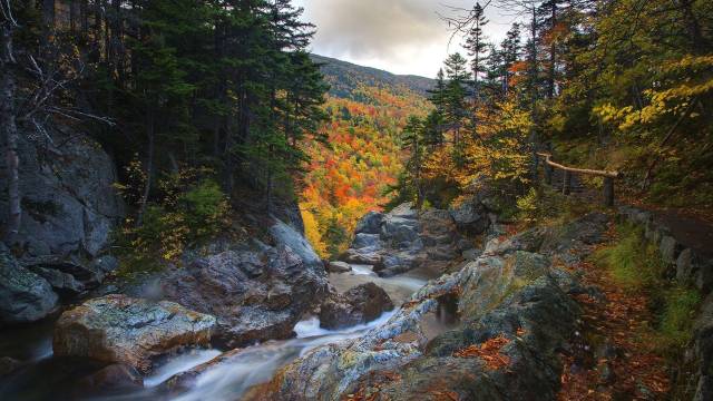 Scenic autumn landscape with a flowing river and colorful trees in the mountains, showcasing vibrant fall foliage.