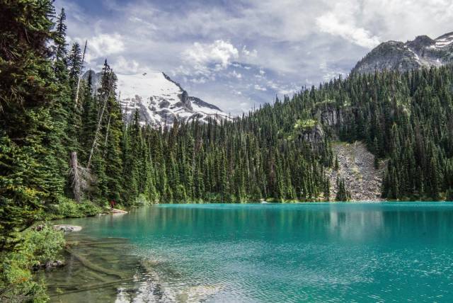 Mountain lake with turquoise water surrounded by pine trees and snow-capped peaks under a cloudy sky.