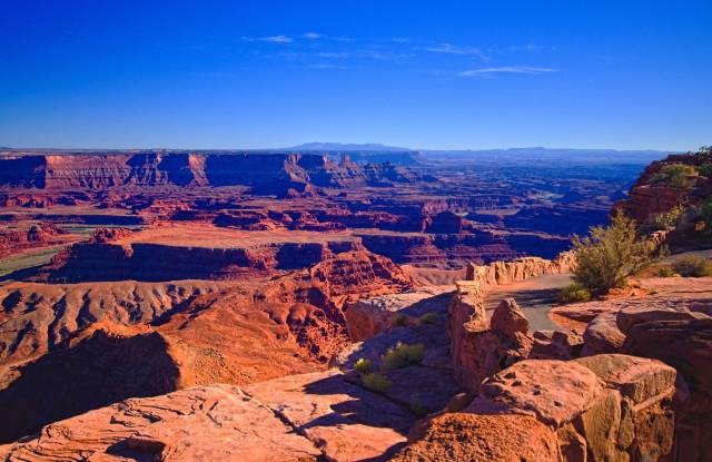 Scenic view of the Grand Canyon under a clear blue sky, showcasing red rock formations and green shrubbery.