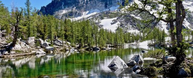 Mountain lake landscape with clear water, pine trees, and snow-capped peaks in the background on a sunny day.