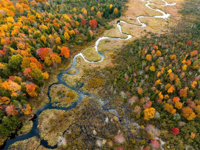 Aerial view of a winding river through vibrant autumn forest, showcasing colorful foliage and serene natural landscape.